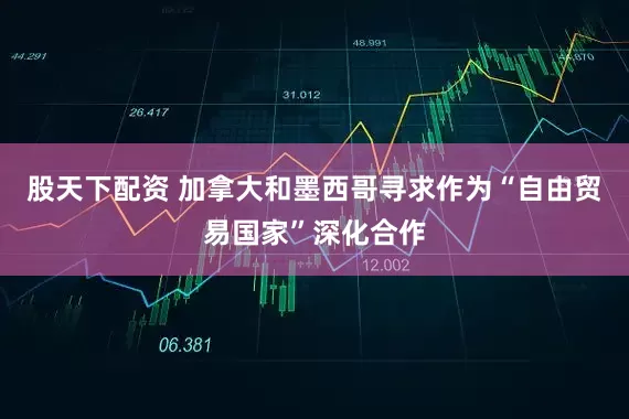 股天下配资 加拿大和墨西哥寻求作为“自由贸易国家”深化合作