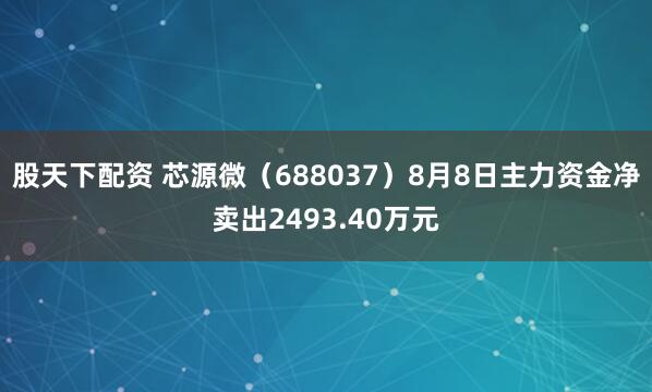 股天下配资 芯源微（688037）8月8日主力资金净卖出2493.40万元