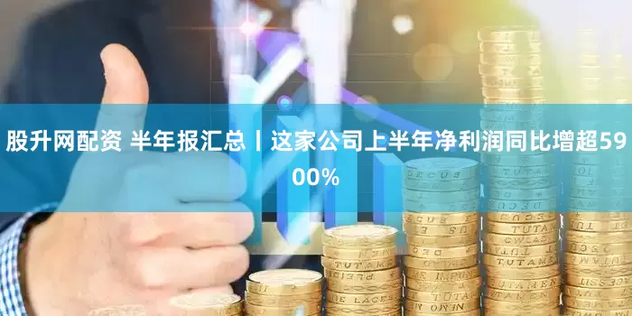 股升网配资 半年报汇总丨这家公司上半年净利润同比增超5900%